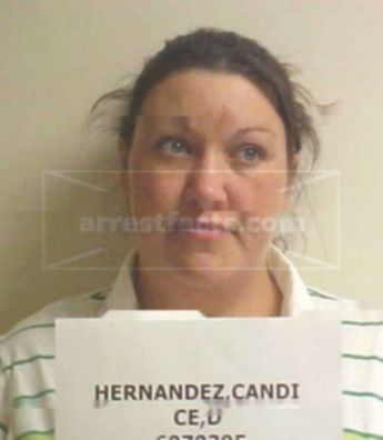 Candice D Hernandez