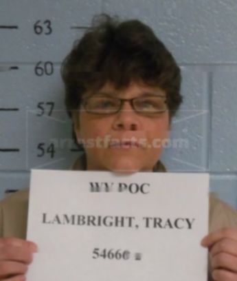 Tracy L Lambright