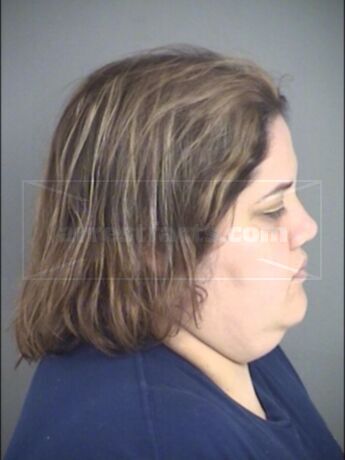 Fired Big Lots manager says she was just trying to get shopping cart back  from shoplifter