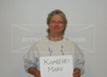 Mary J Kamuchey