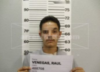 Raul Venegas