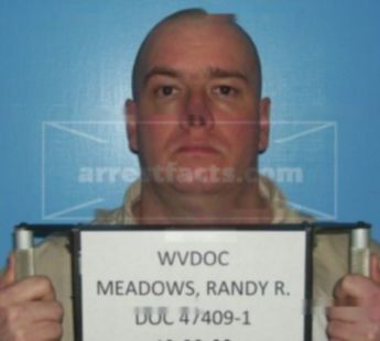Randy R Meadows