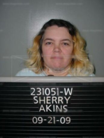 Sherry L Akins