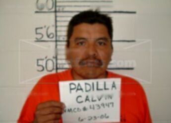 Calvin Padilla