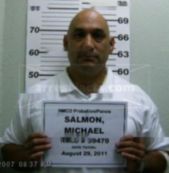 Michael J Salmon