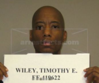 Timothy E Wiley